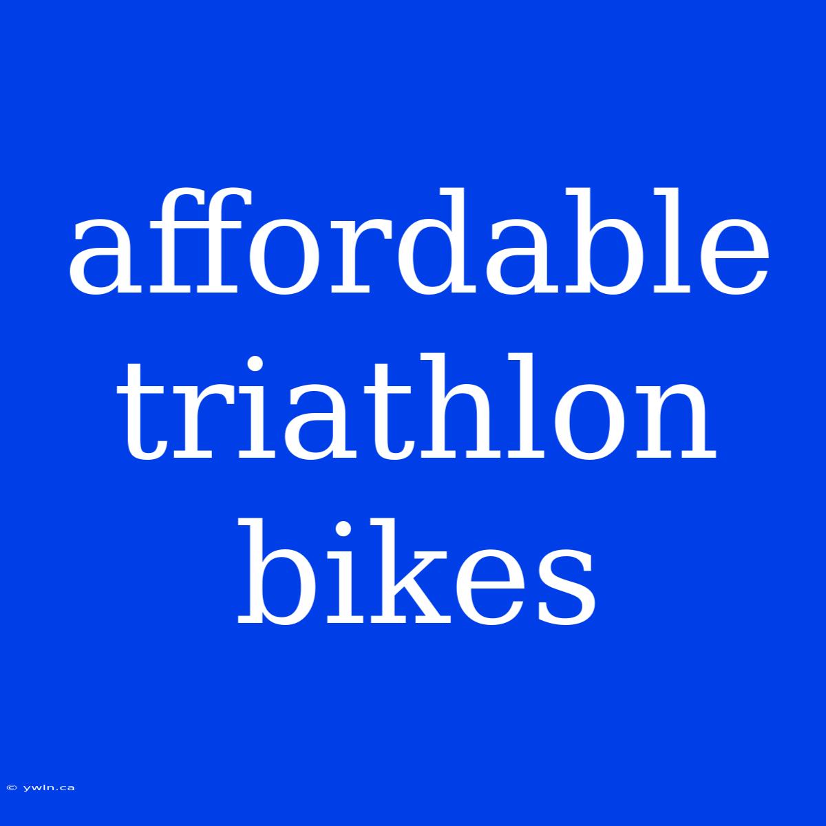 Affordable Triathlon Bikes