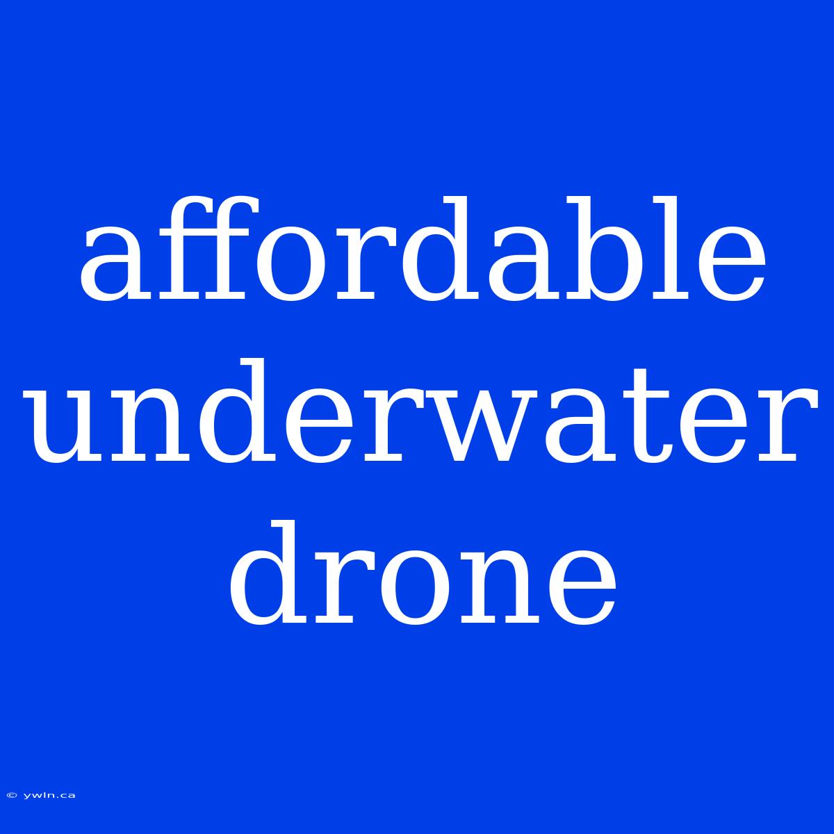 Affordable Underwater Drone