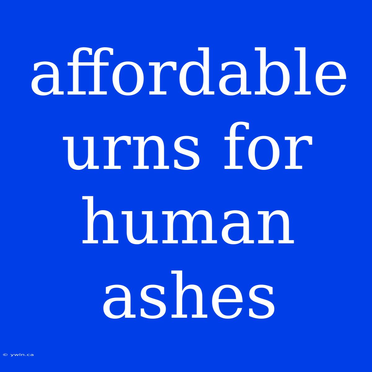 Affordable Urns For Human Ashes