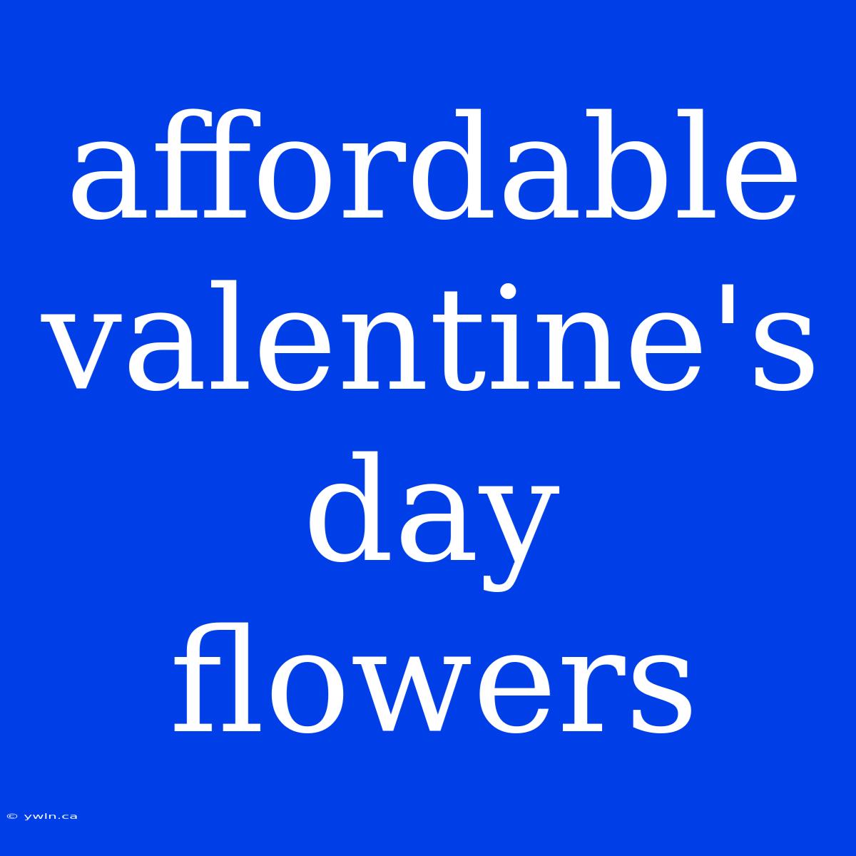 Affordable Valentine's Day Flowers