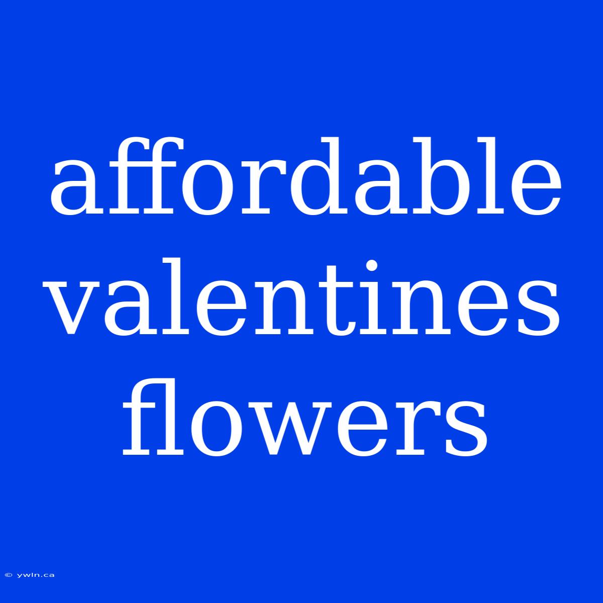 Affordable Valentines Flowers