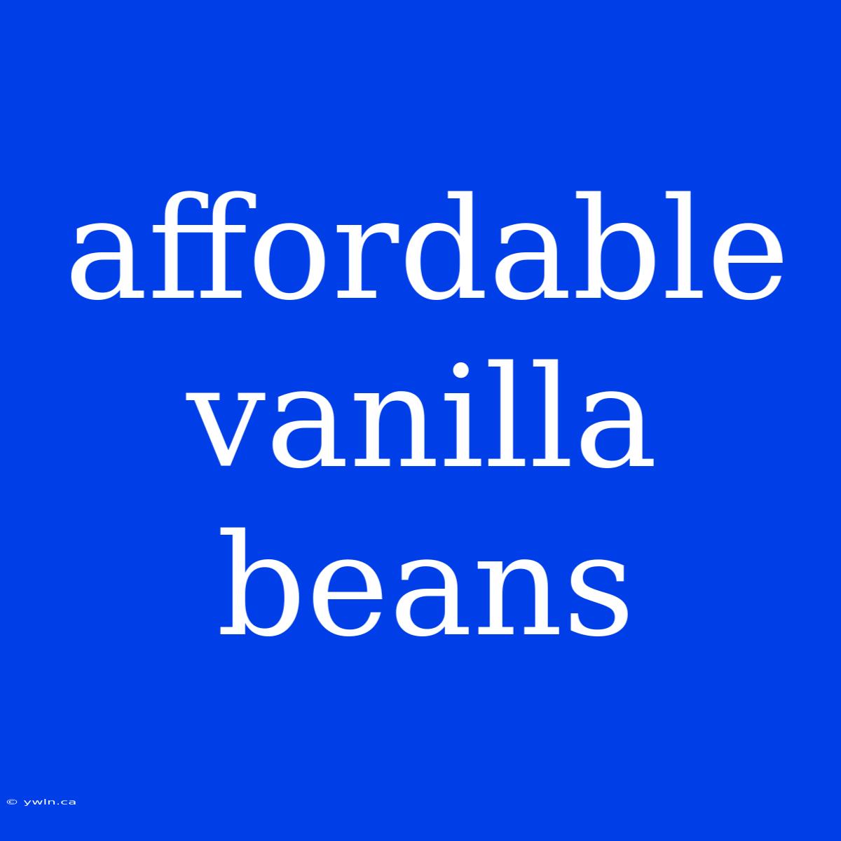 Affordable Vanilla Beans