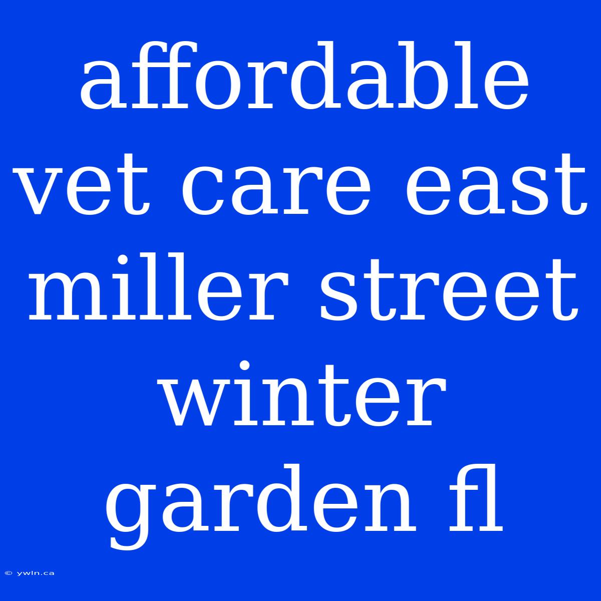 Affordable Vet Care East Miller Street Winter Garden Fl