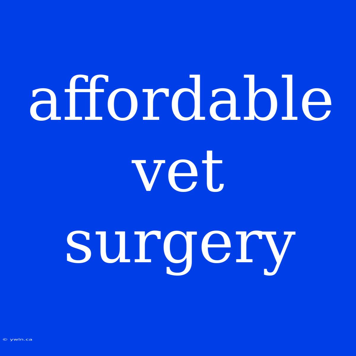 Affordable Vet Surgery