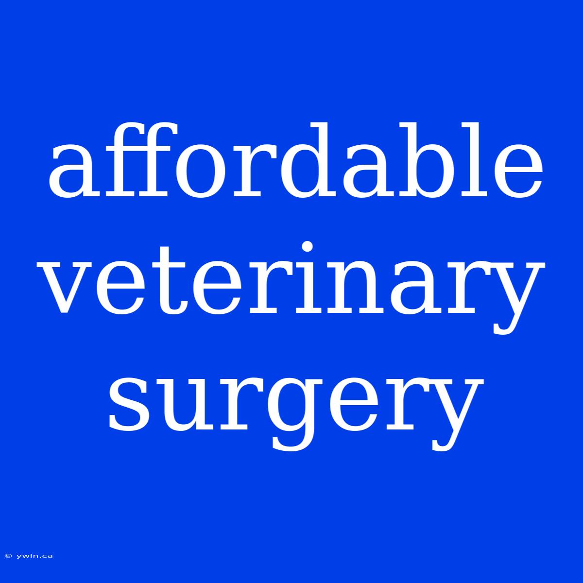 Affordable Veterinary Surgery