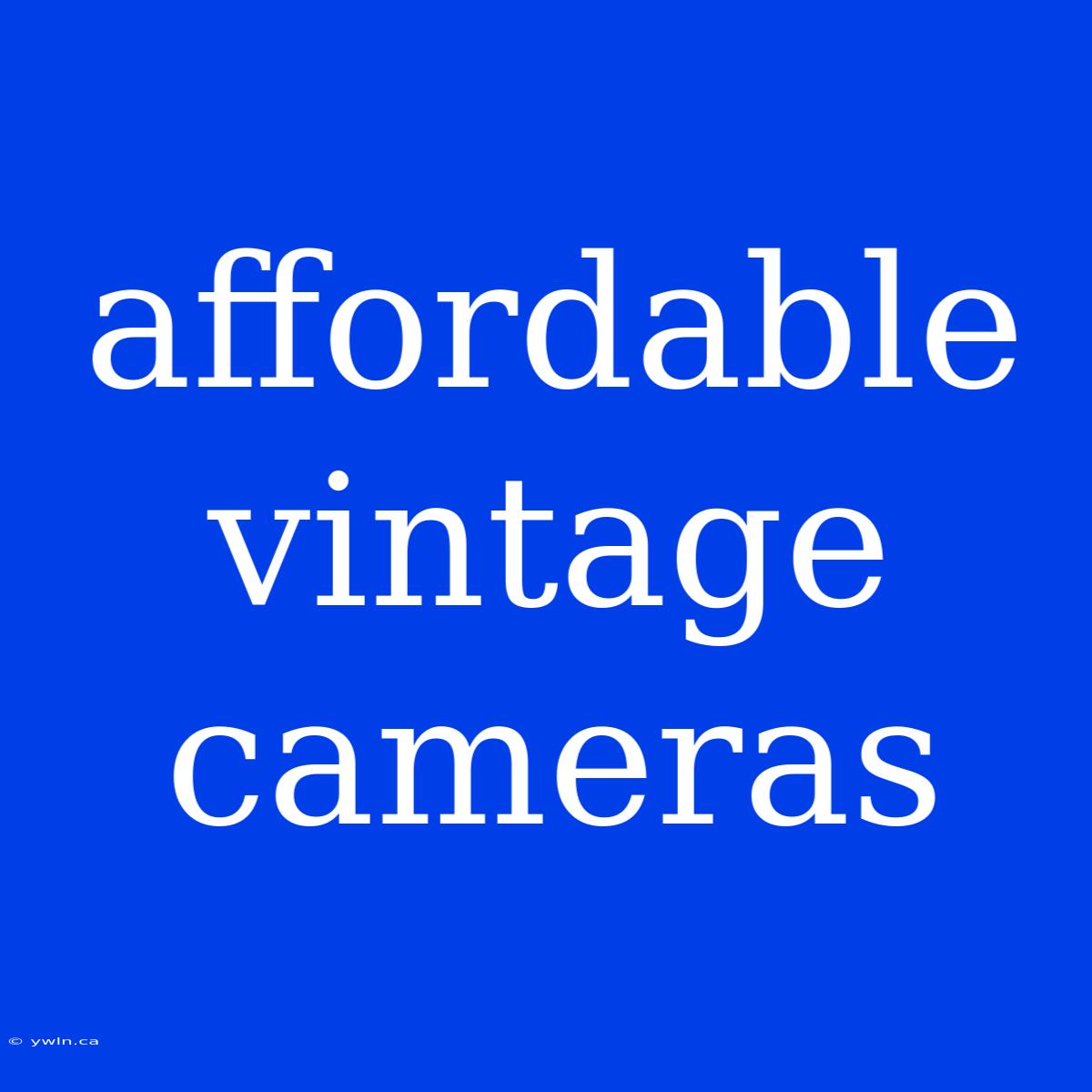 Affordable Vintage Cameras