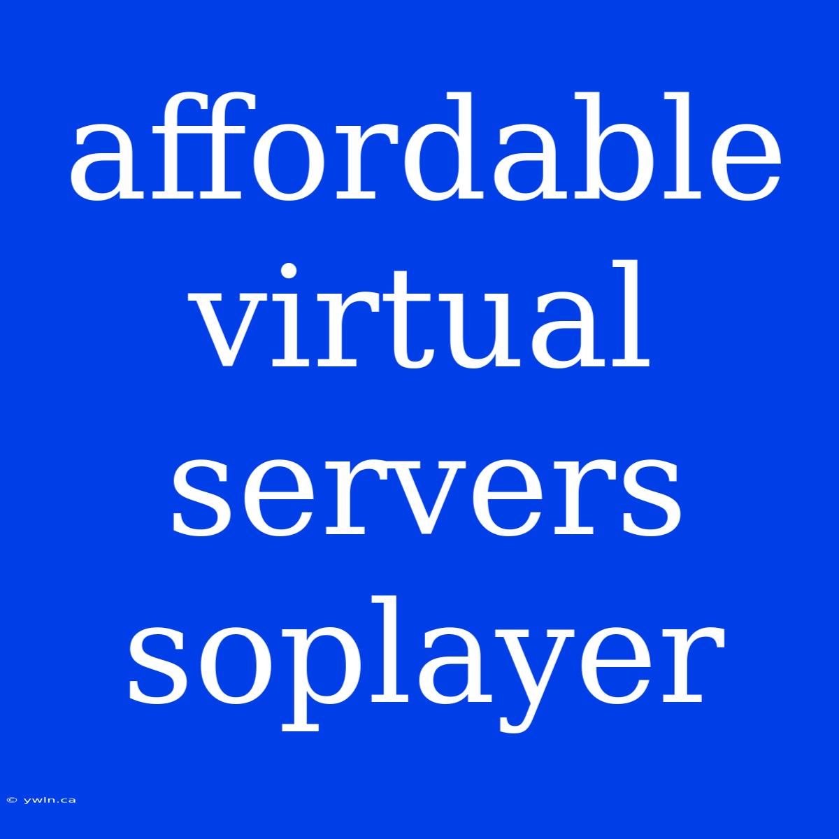 Affordable Virtual Servers Soplayer