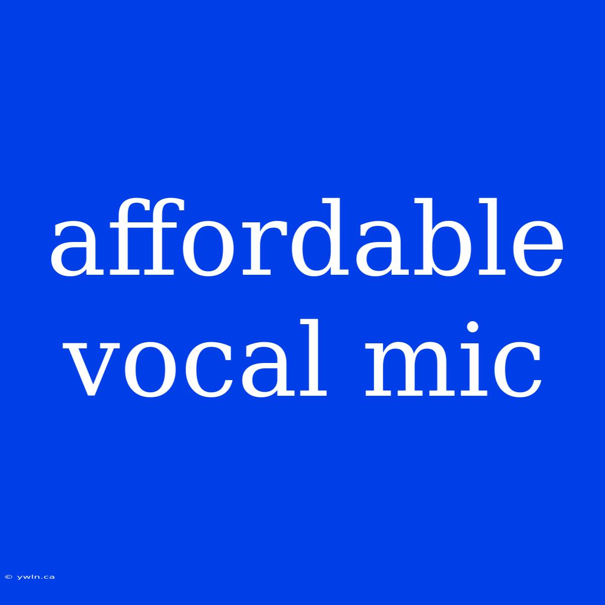 Affordable Vocal Mic