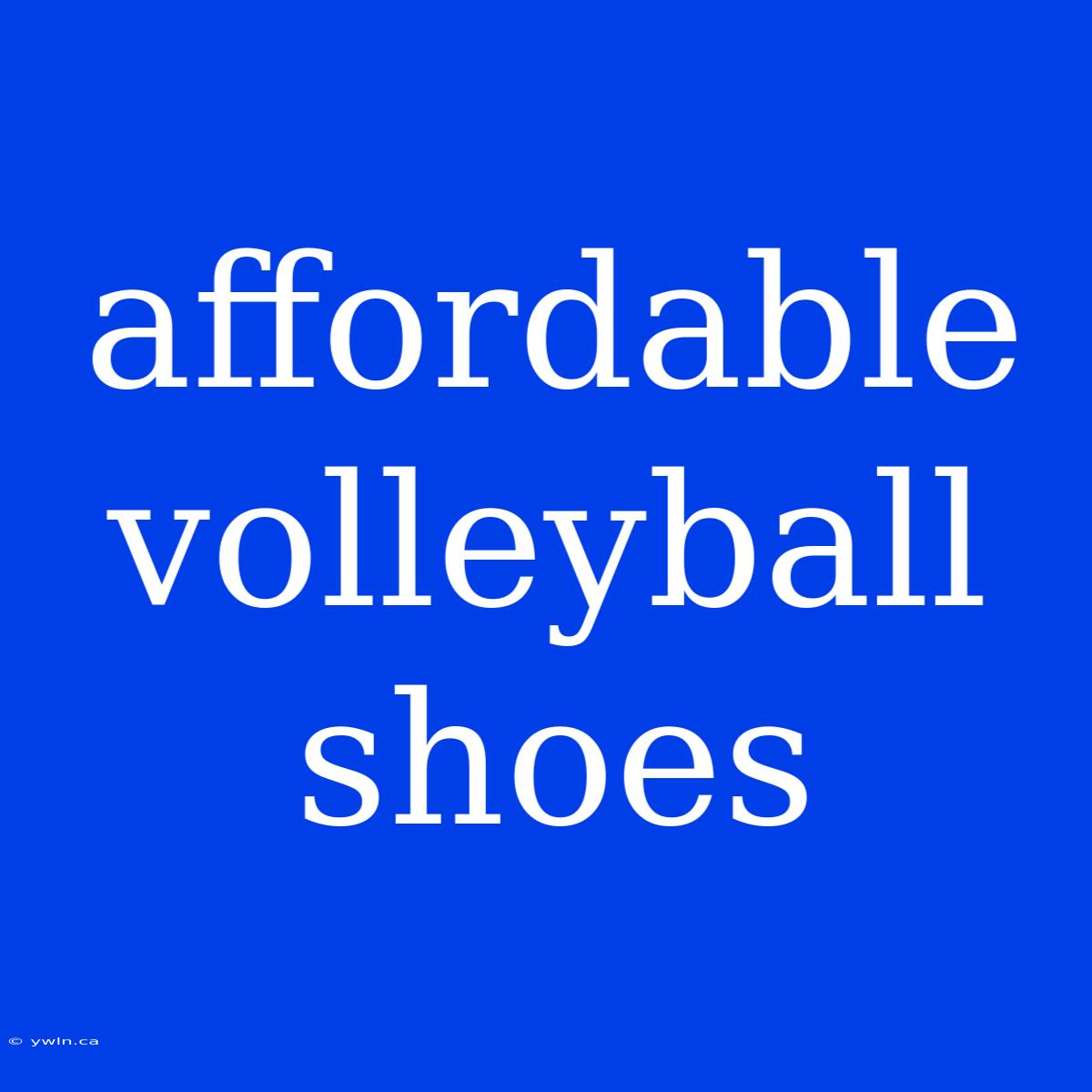 Affordable Volleyball Shoes