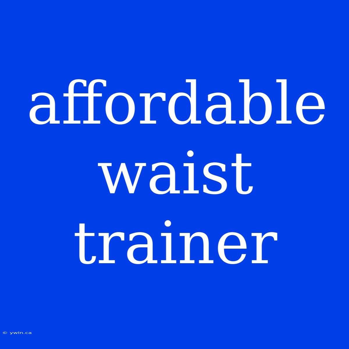 Affordable Waist Trainer