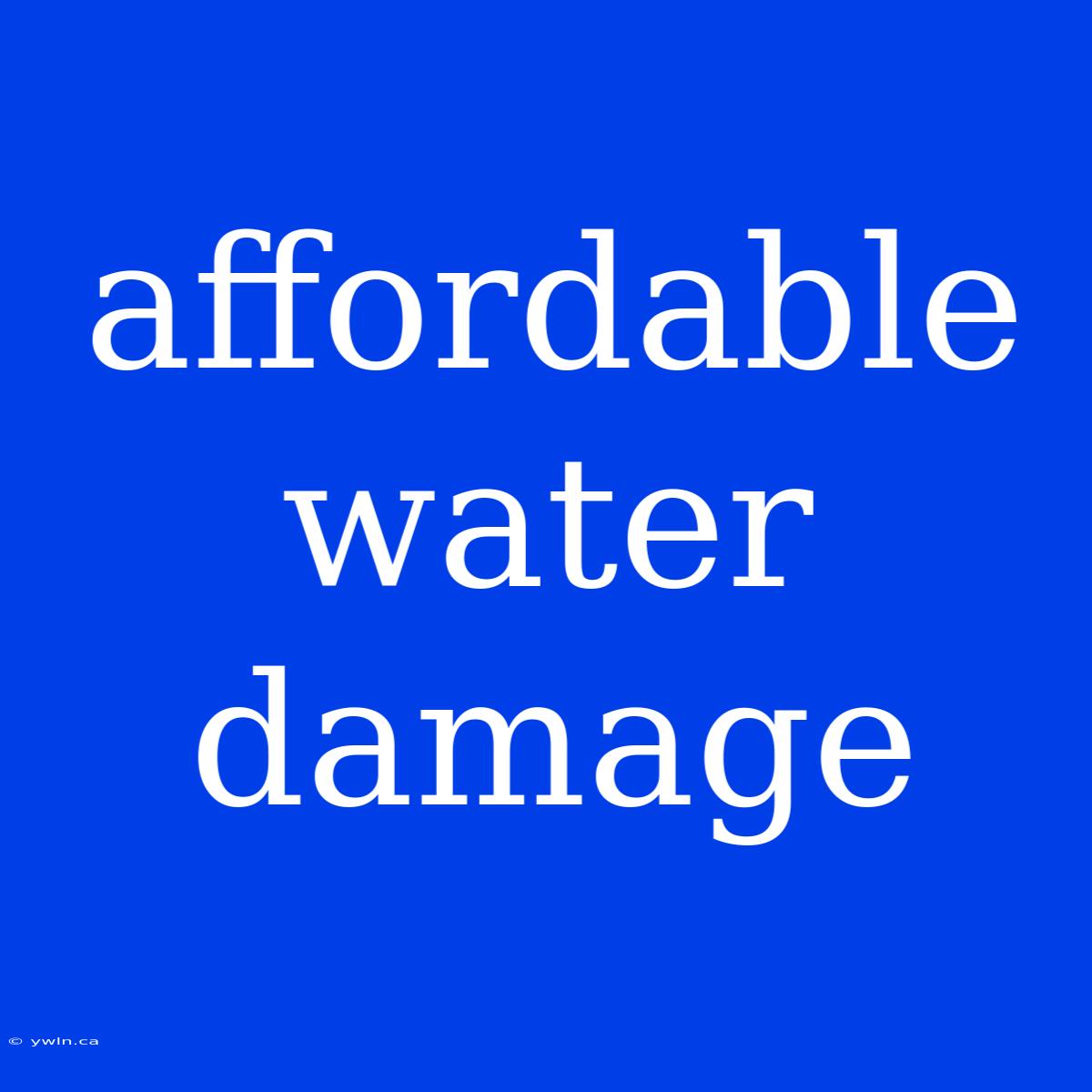 Affordable Water Damage