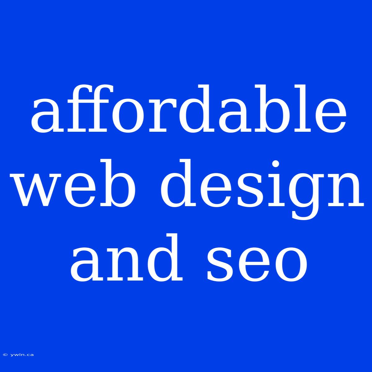 Affordable Web Design And Seo