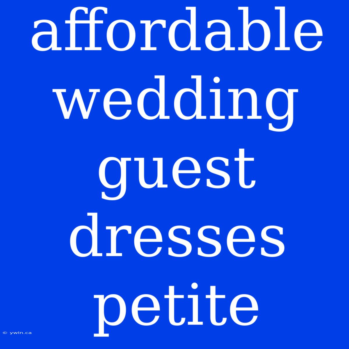 Affordable Wedding Guest Dresses Petite