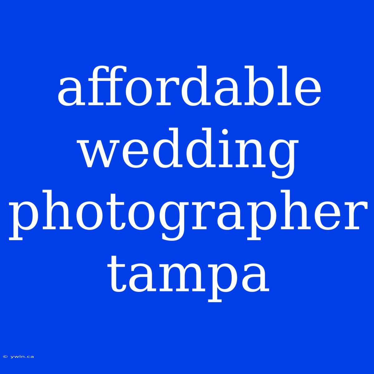 Affordable Wedding Photographer Tampa