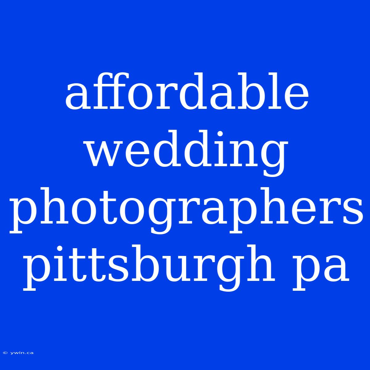 Affordable Wedding Photographers Pittsburgh Pa