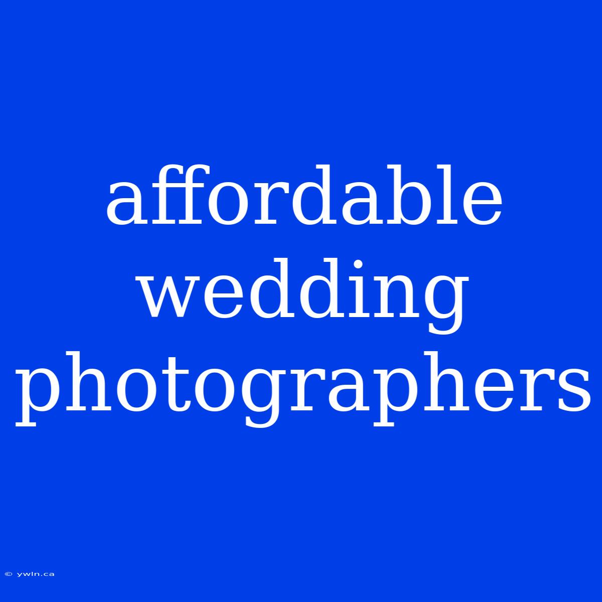 Affordable Wedding Photographers