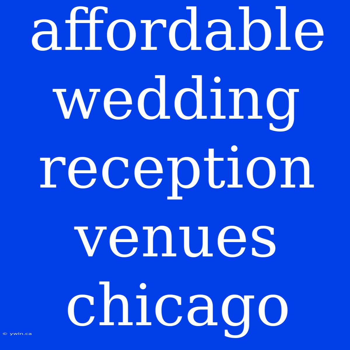 Affordable Wedding Reception Venues Chicago