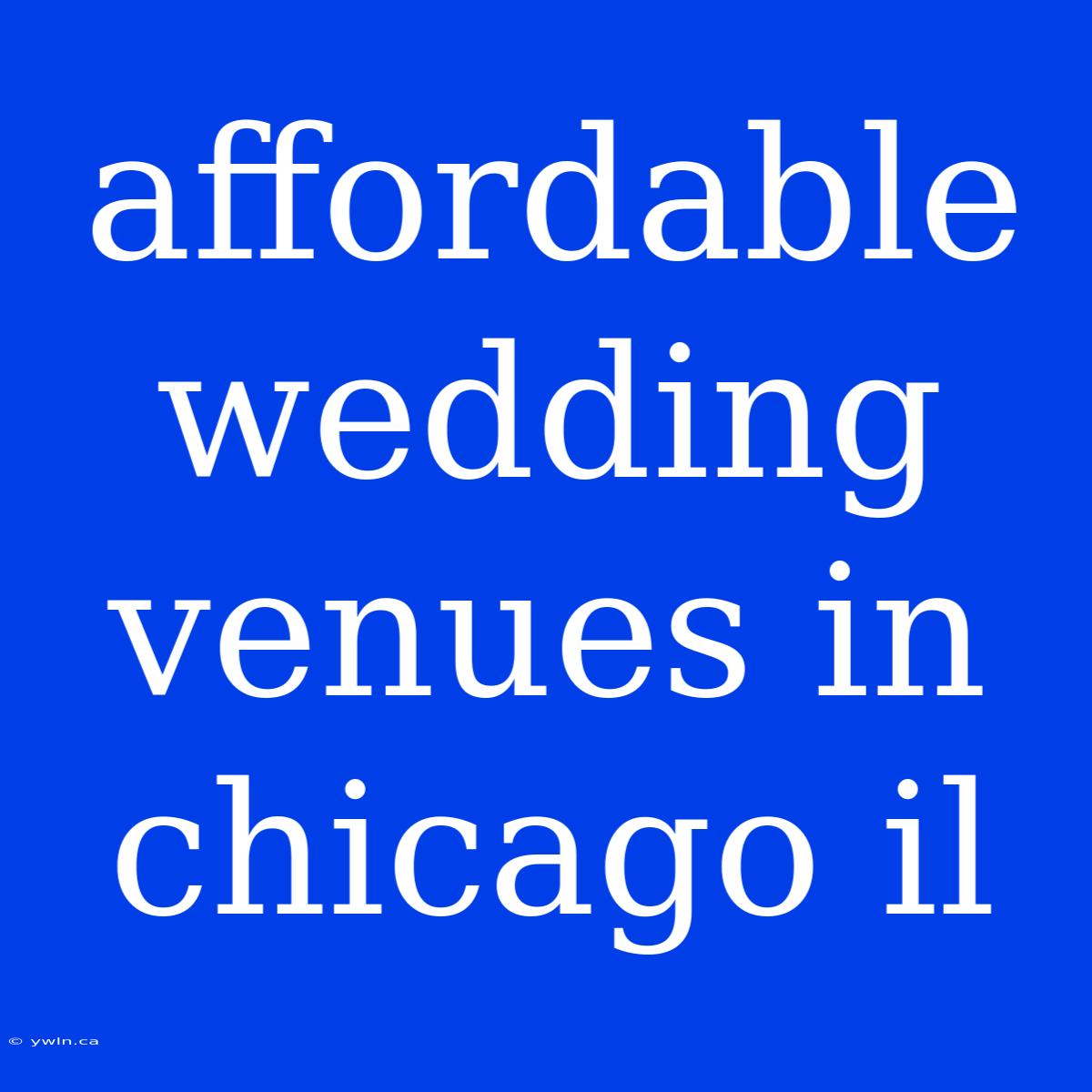 Affordable Wedding Venues In Chicago Il