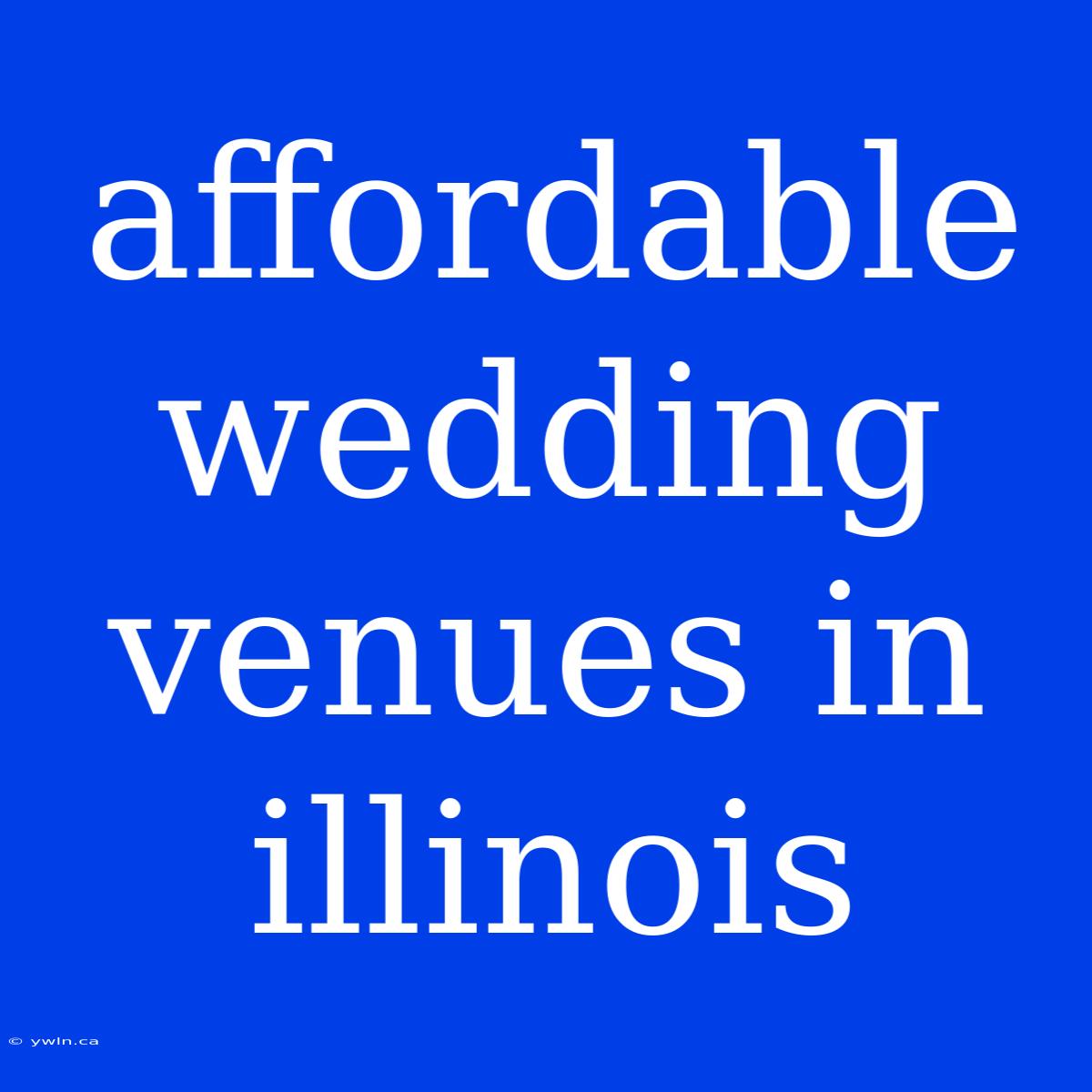 Affordable Wedding Venues In Illinois