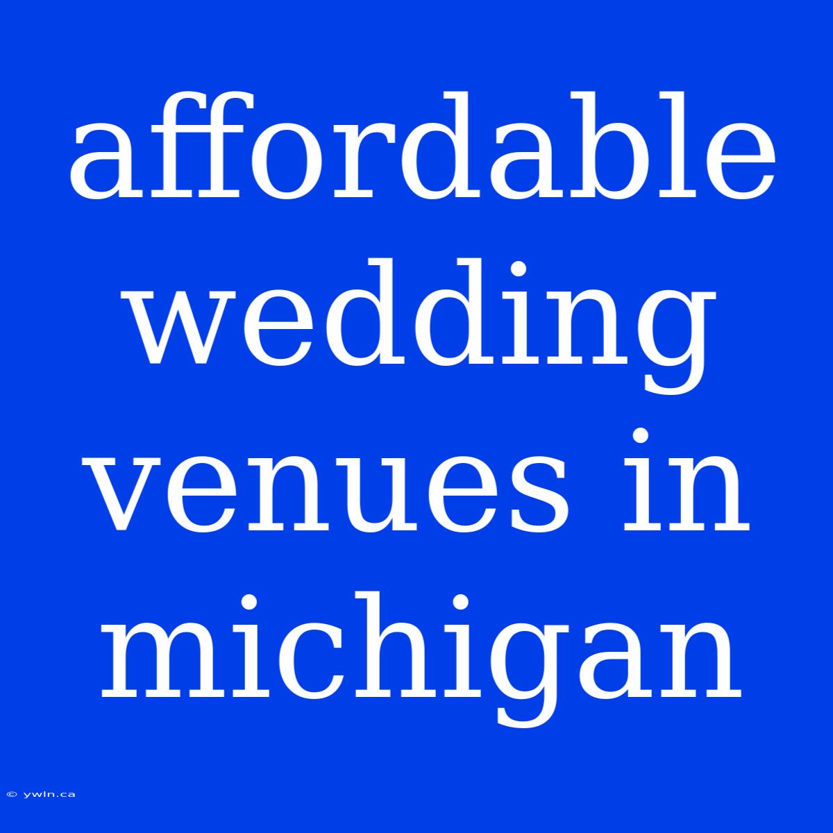 Affordable Wedding Venues In Michigan