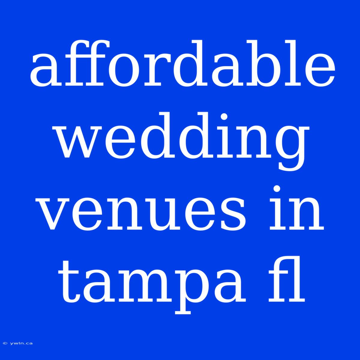 Affordable Wedding Venues In Tampa Fl