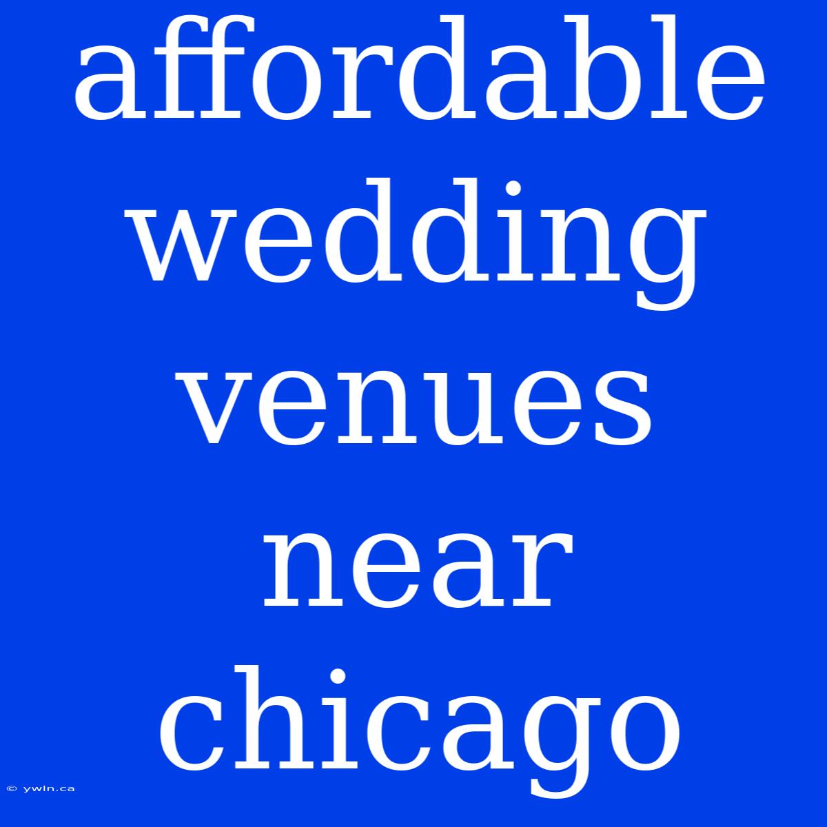 Affordable Wedding Venues Near Chicago