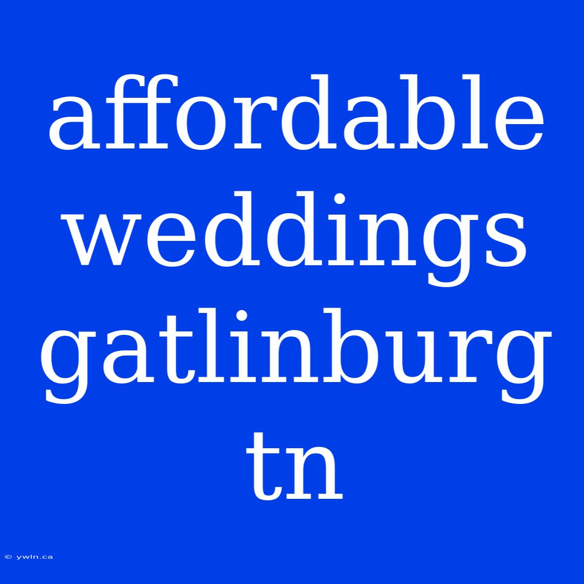 Affordable Weddings Gatlinburg Tn