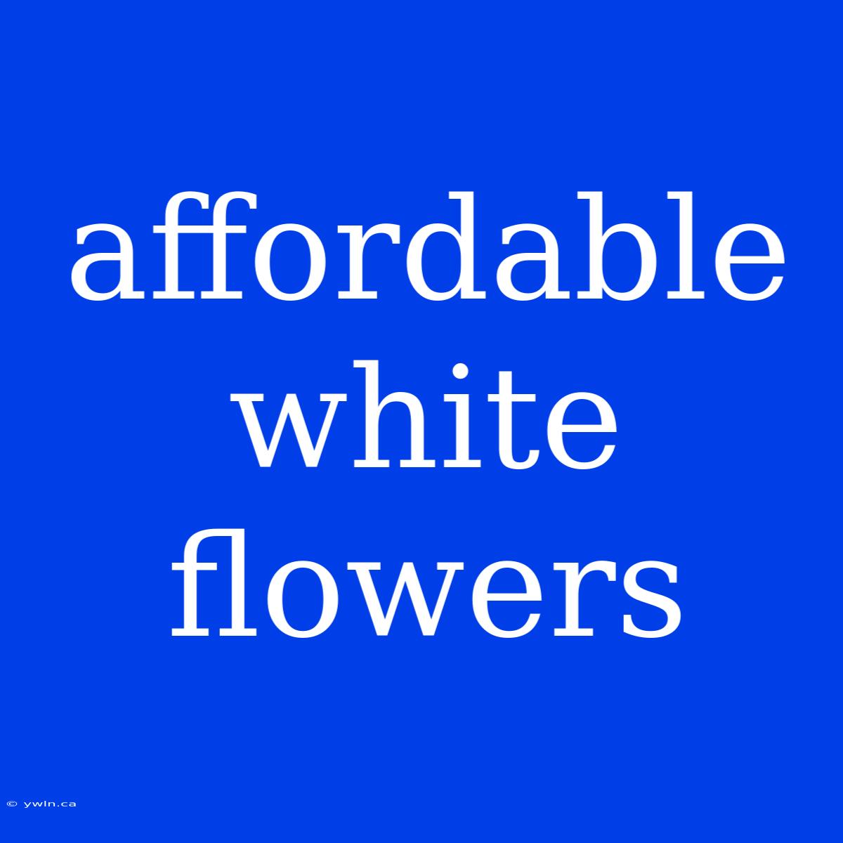 Affordable White Flowers