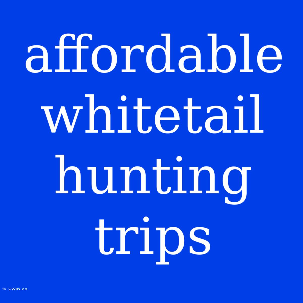 Affordable Whitetail Hunting Trips