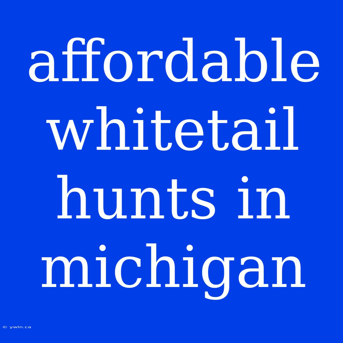 Affordable Whitetail Hunts In Michigan