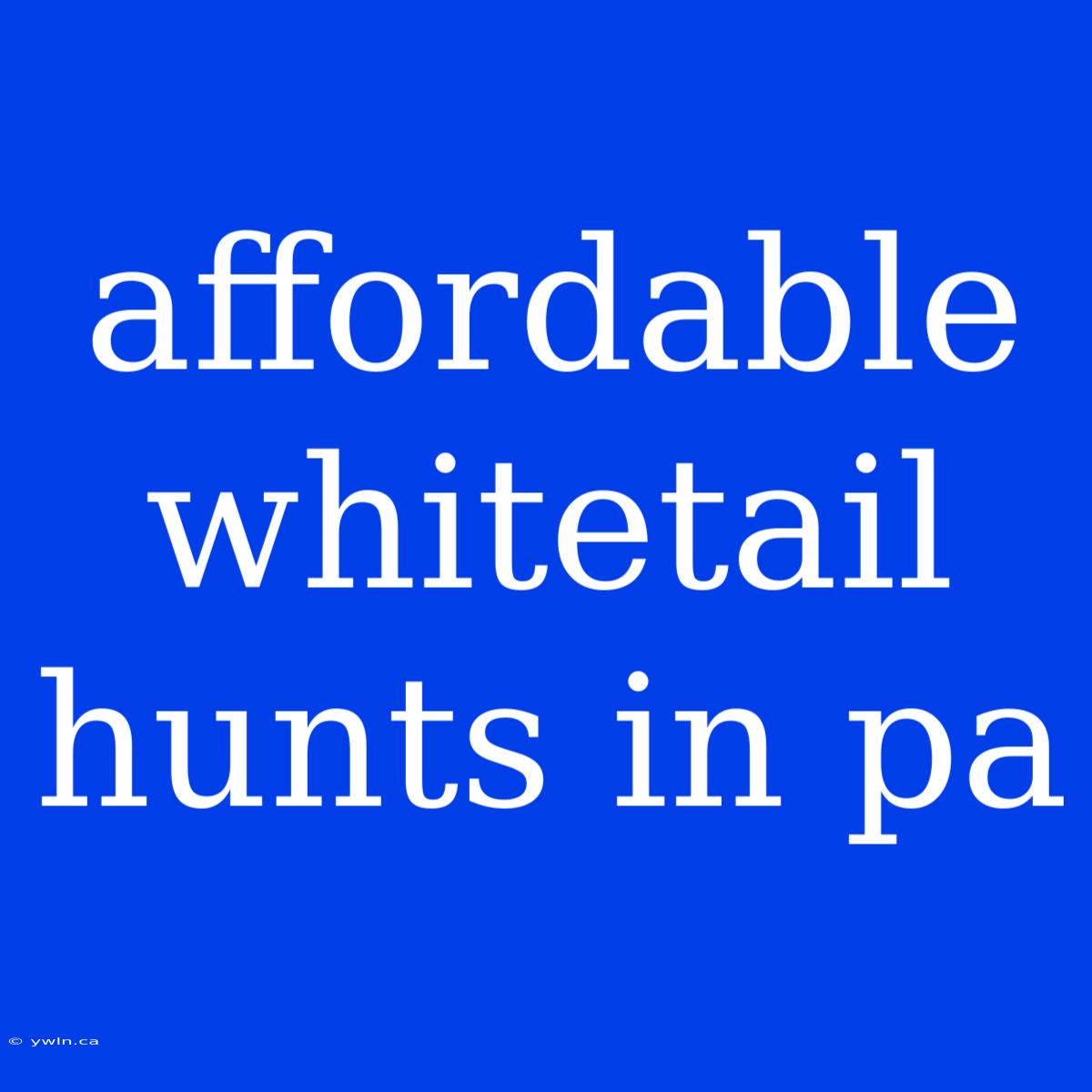 Affordable Whitetail Hunts In Pa