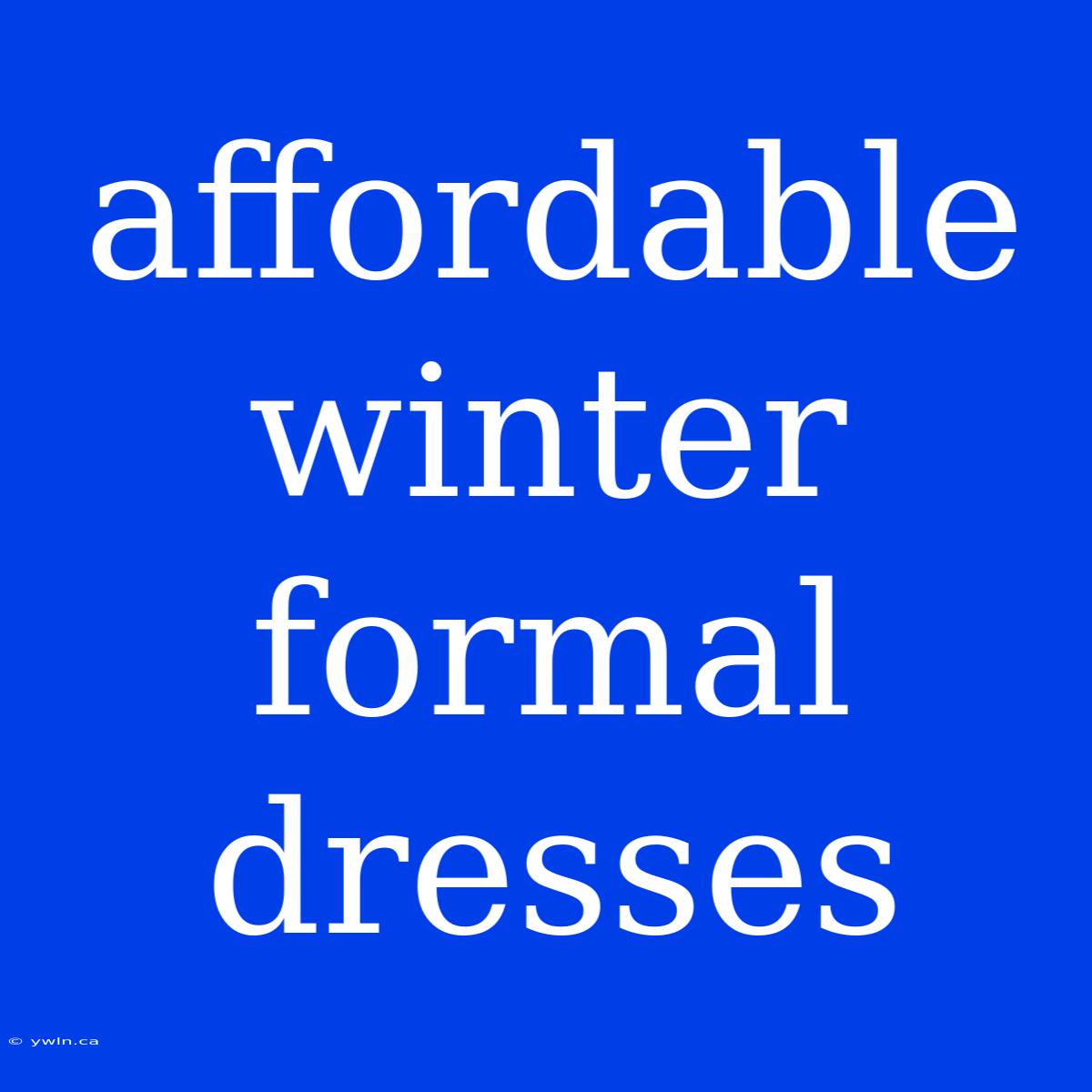 Affordable Winter Formal Dresses