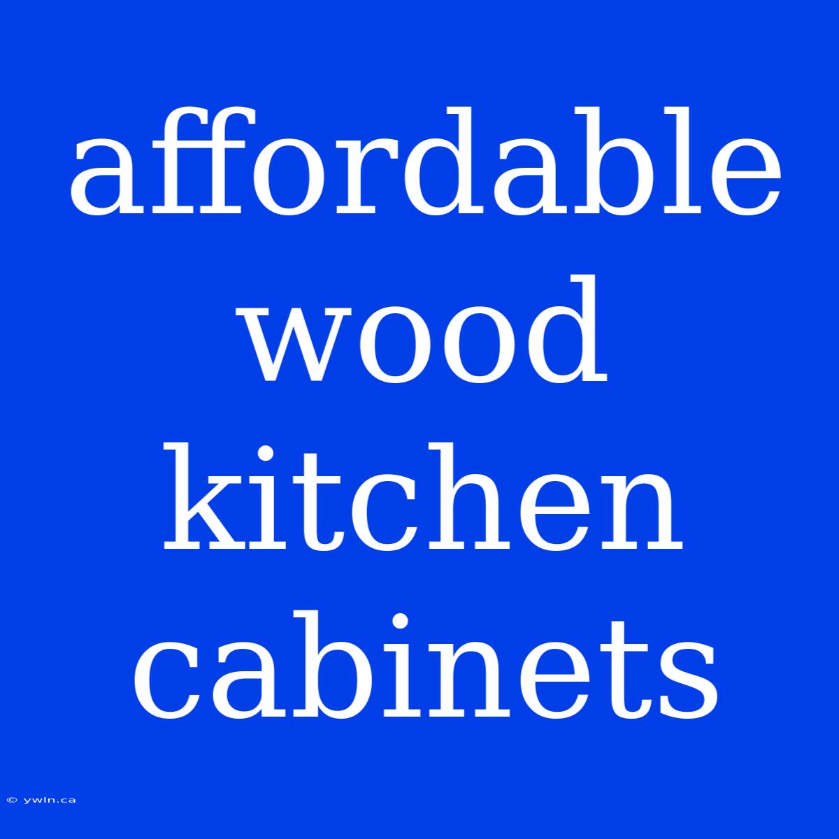 Affordable Wood Kitchen Cabinets