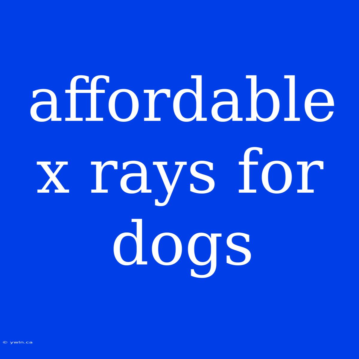 Affordable X Rays For Dogs