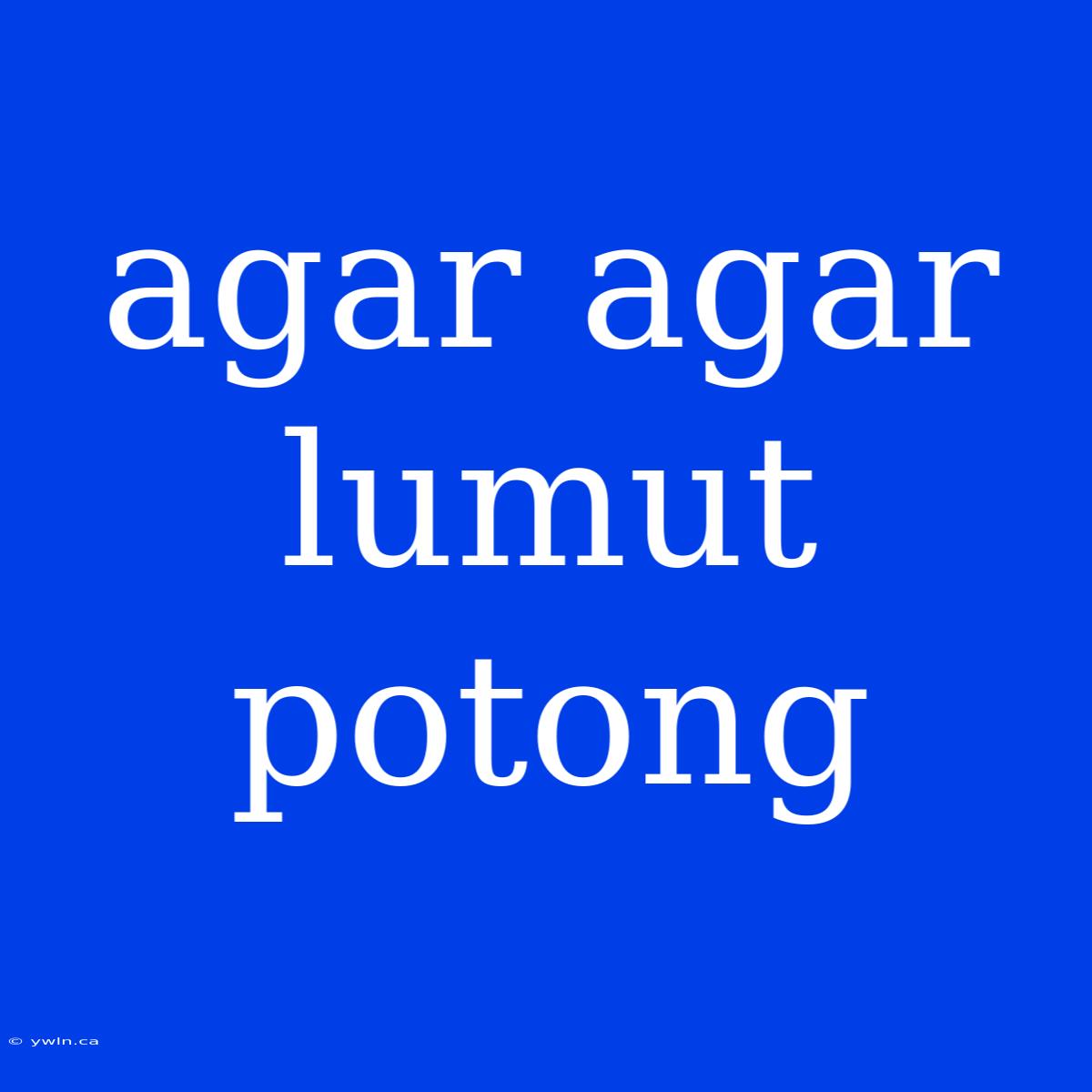 Agar Agar Lumut Potong