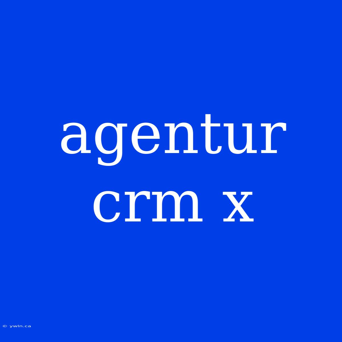 Agentur Crm X