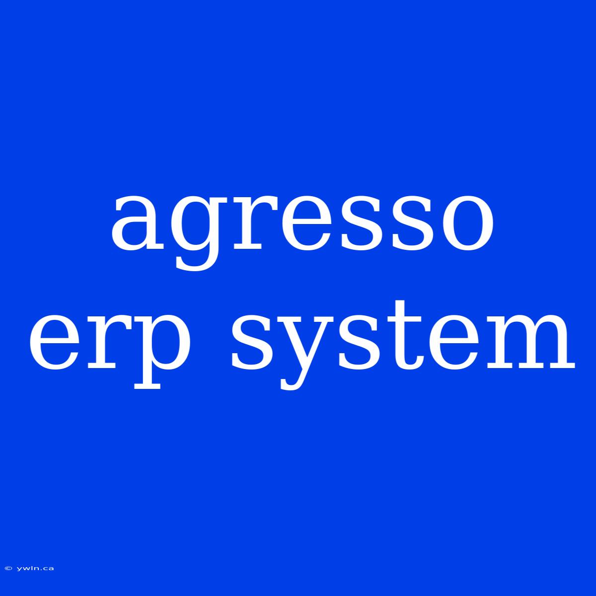 Agresso Erp System