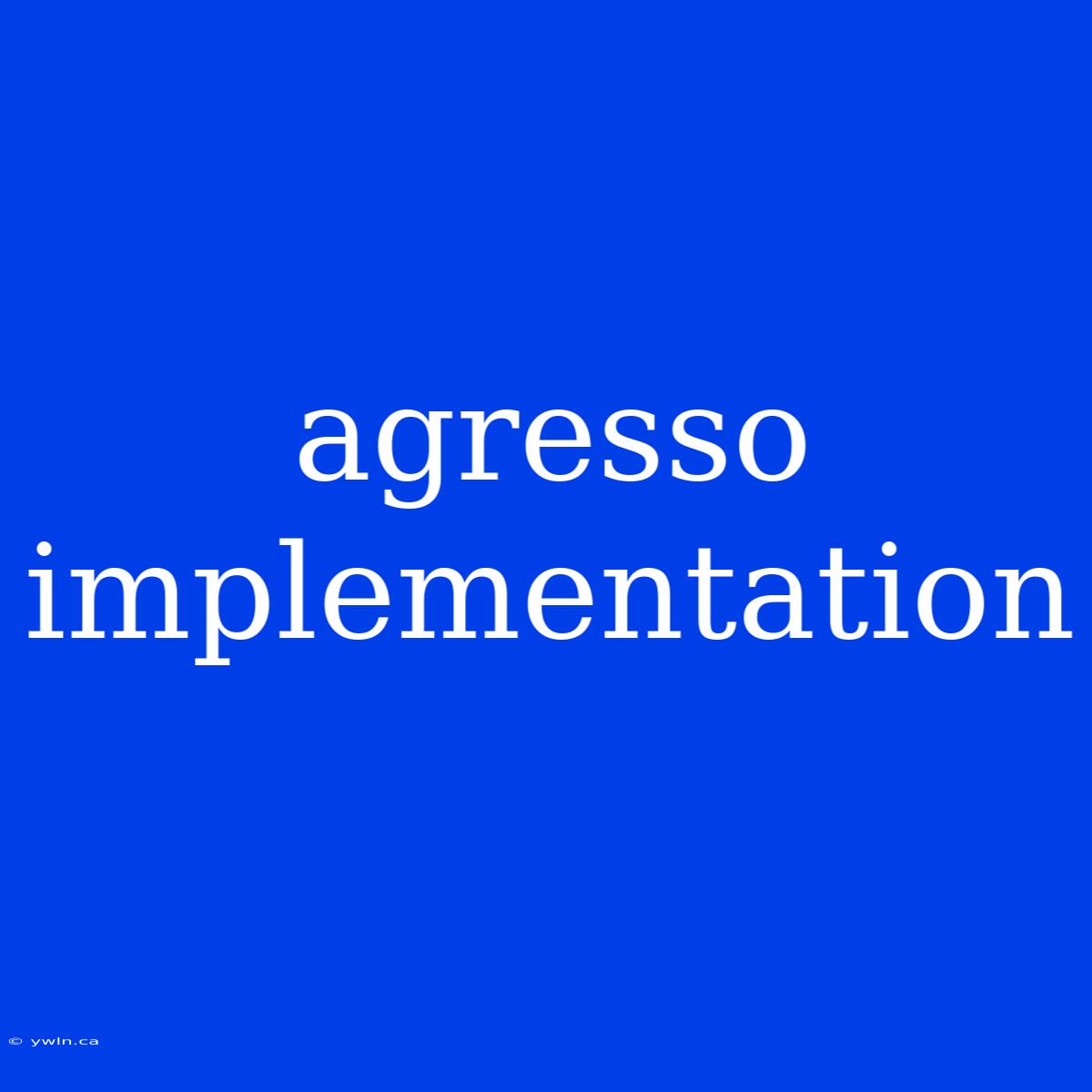 Agresso Implementation