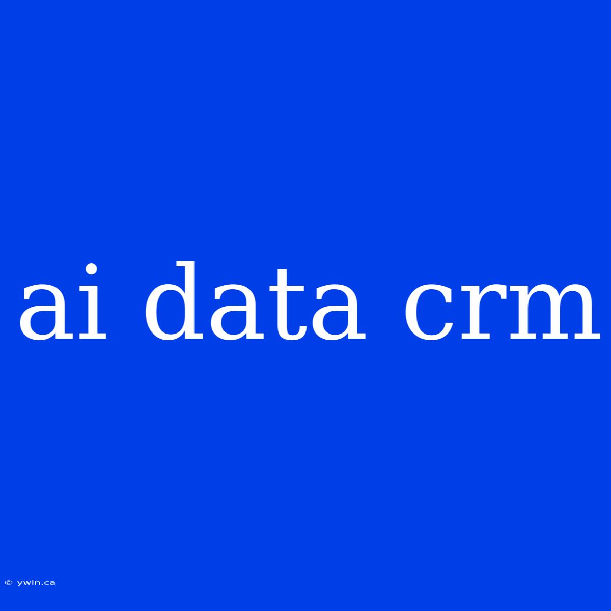 Ai Data Crm