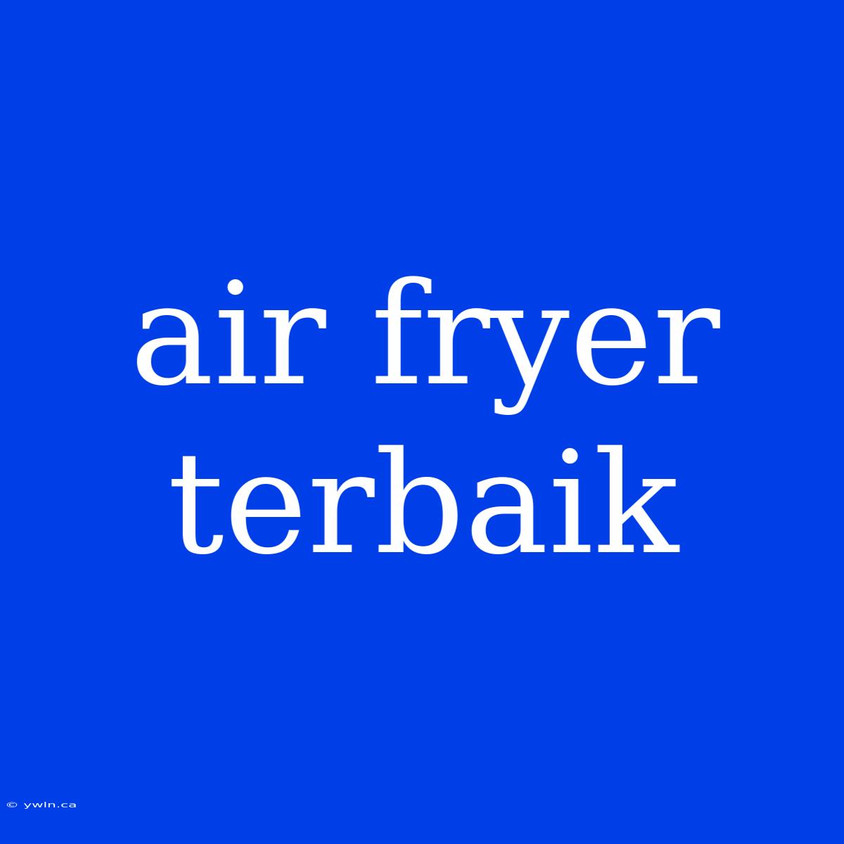 Air Fryer Terbaik