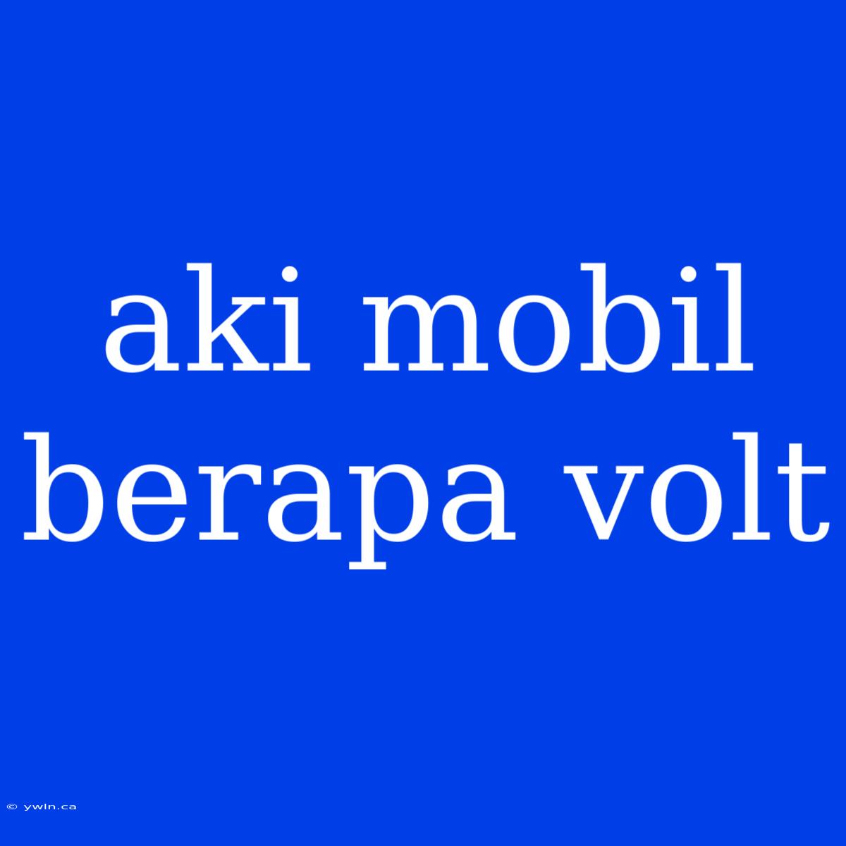 Aki Mobil Berapa Volt