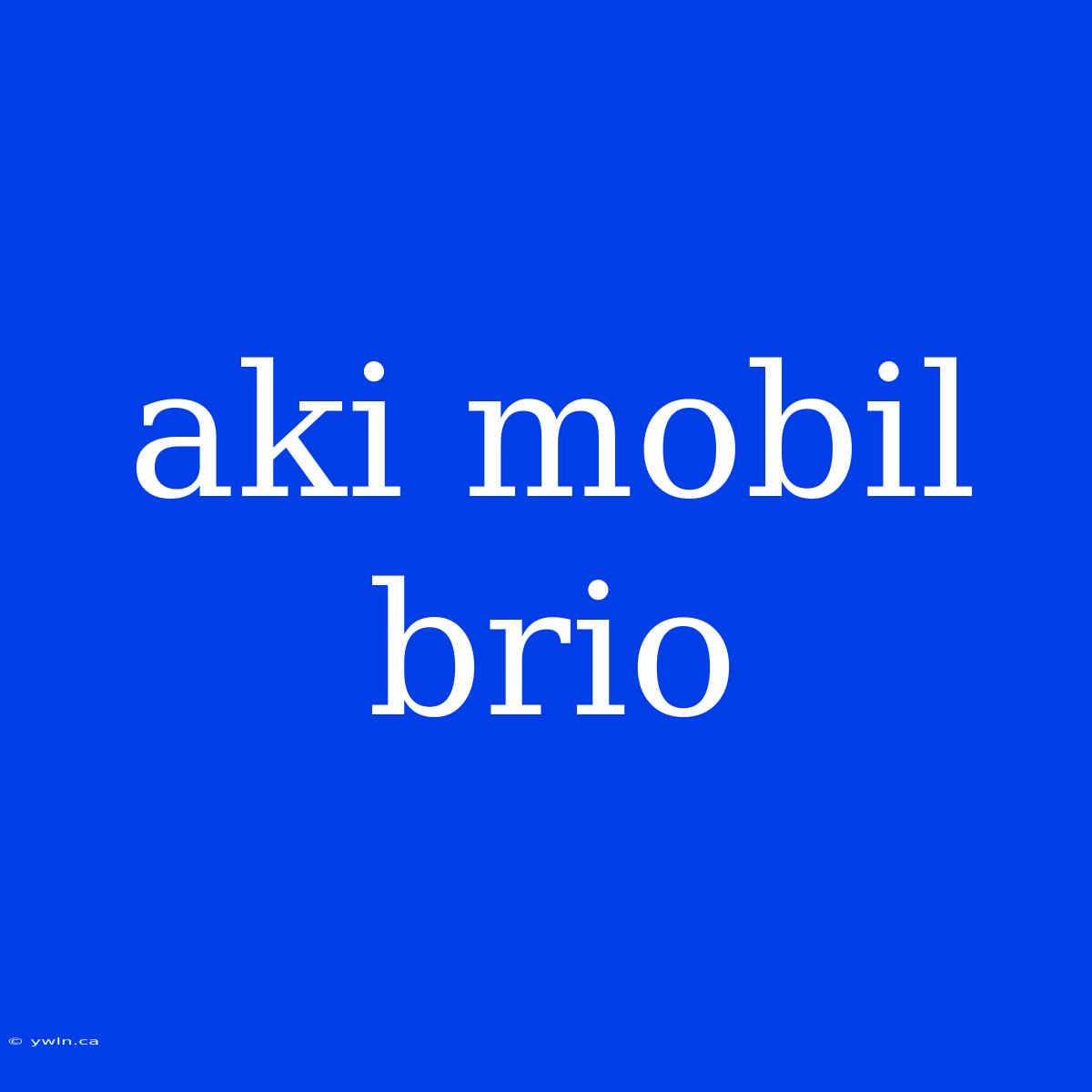 Aki Mobil Brio