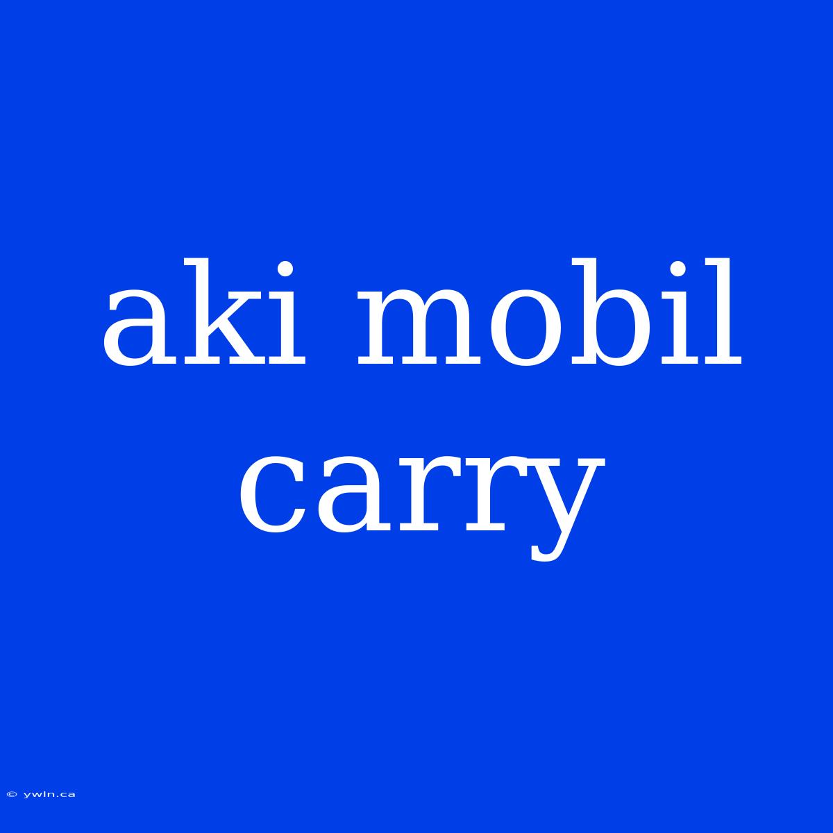 Aki Mobil Carry