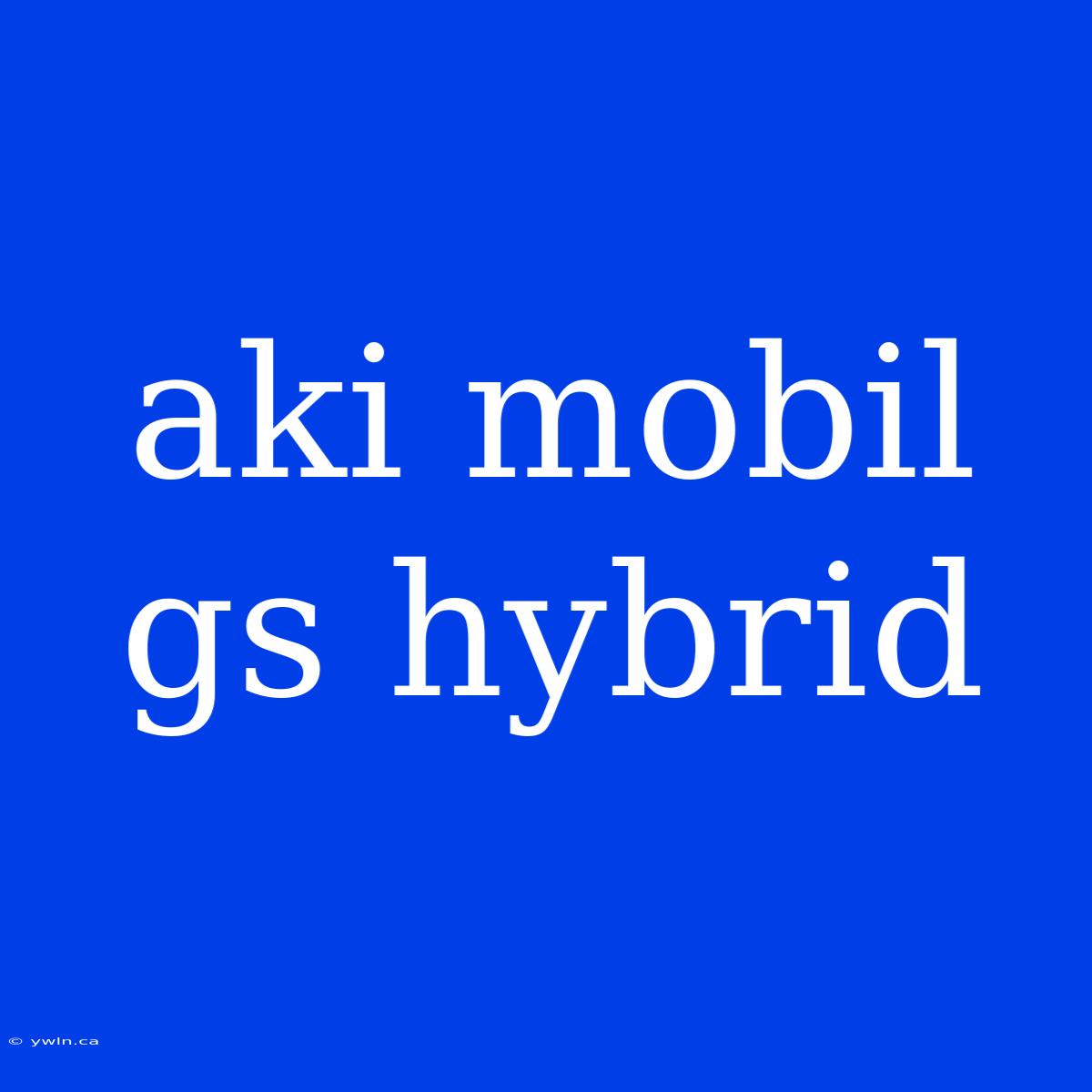 Aki Mobil Gs Hybrid