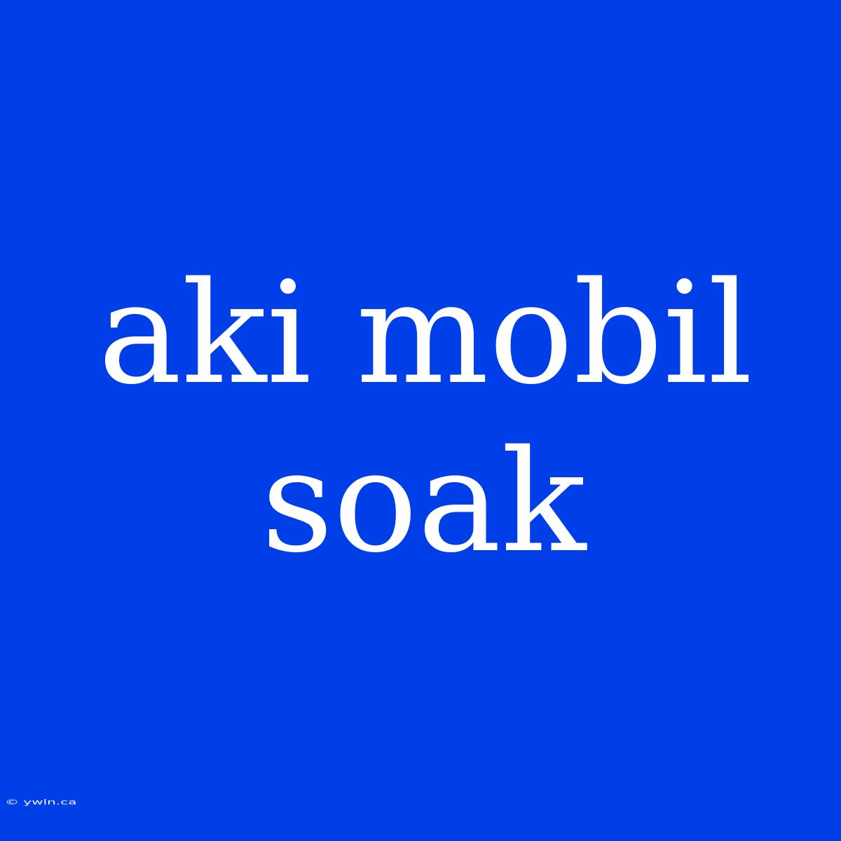 Aki Mobil Soak