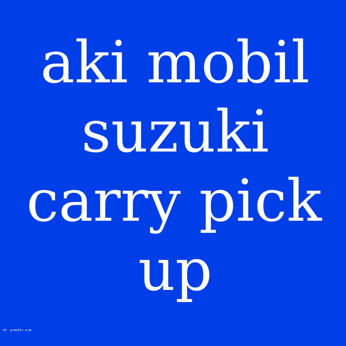 Aki Mobil Suzuki Carry Pick Up