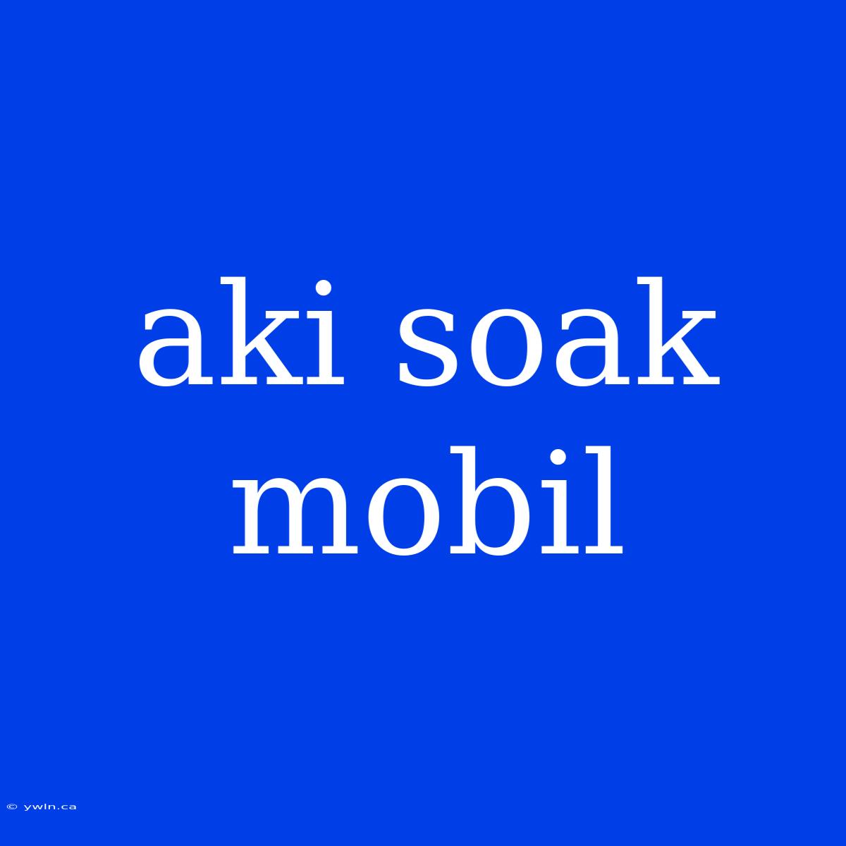 Aki Soak Mobil