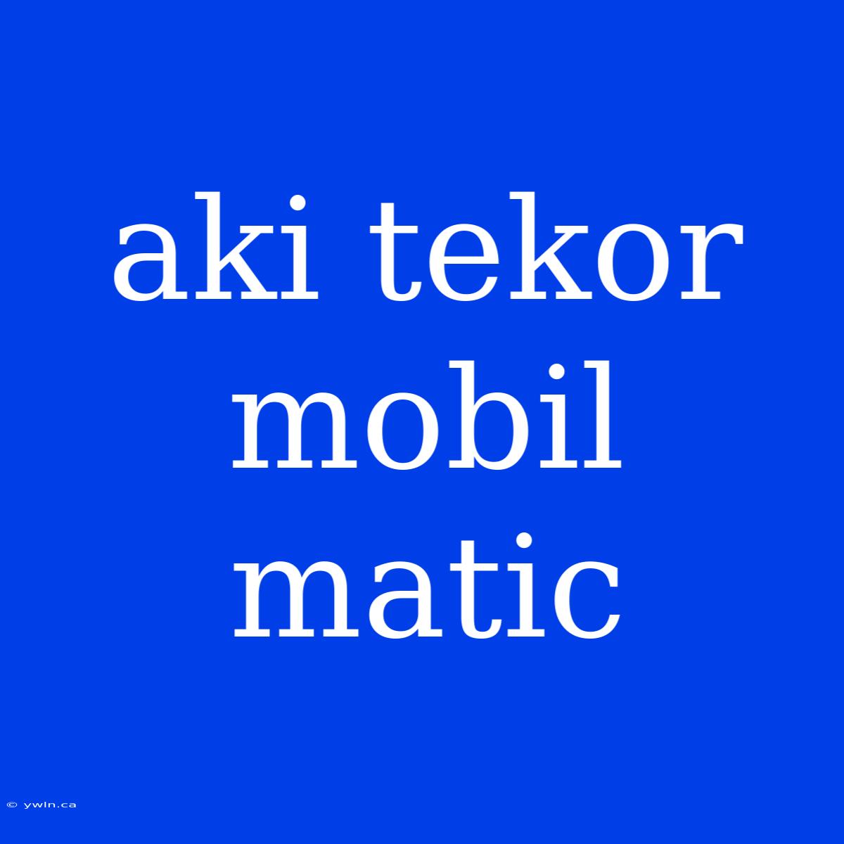 Aki Tekor Mobil Matic