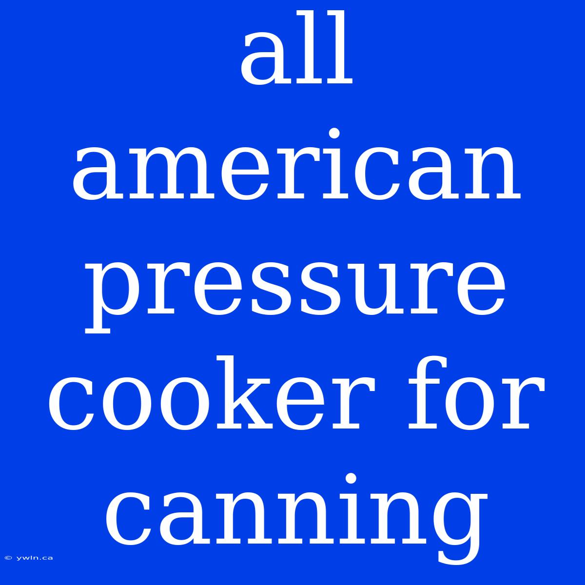 All American Pressure Cooker For Canning