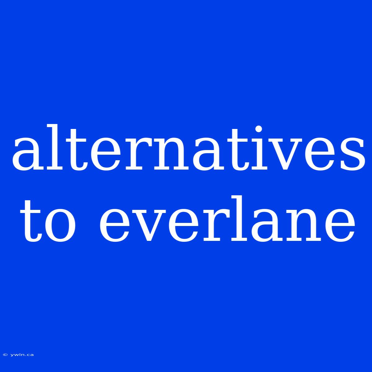 Alternatives To Everlane